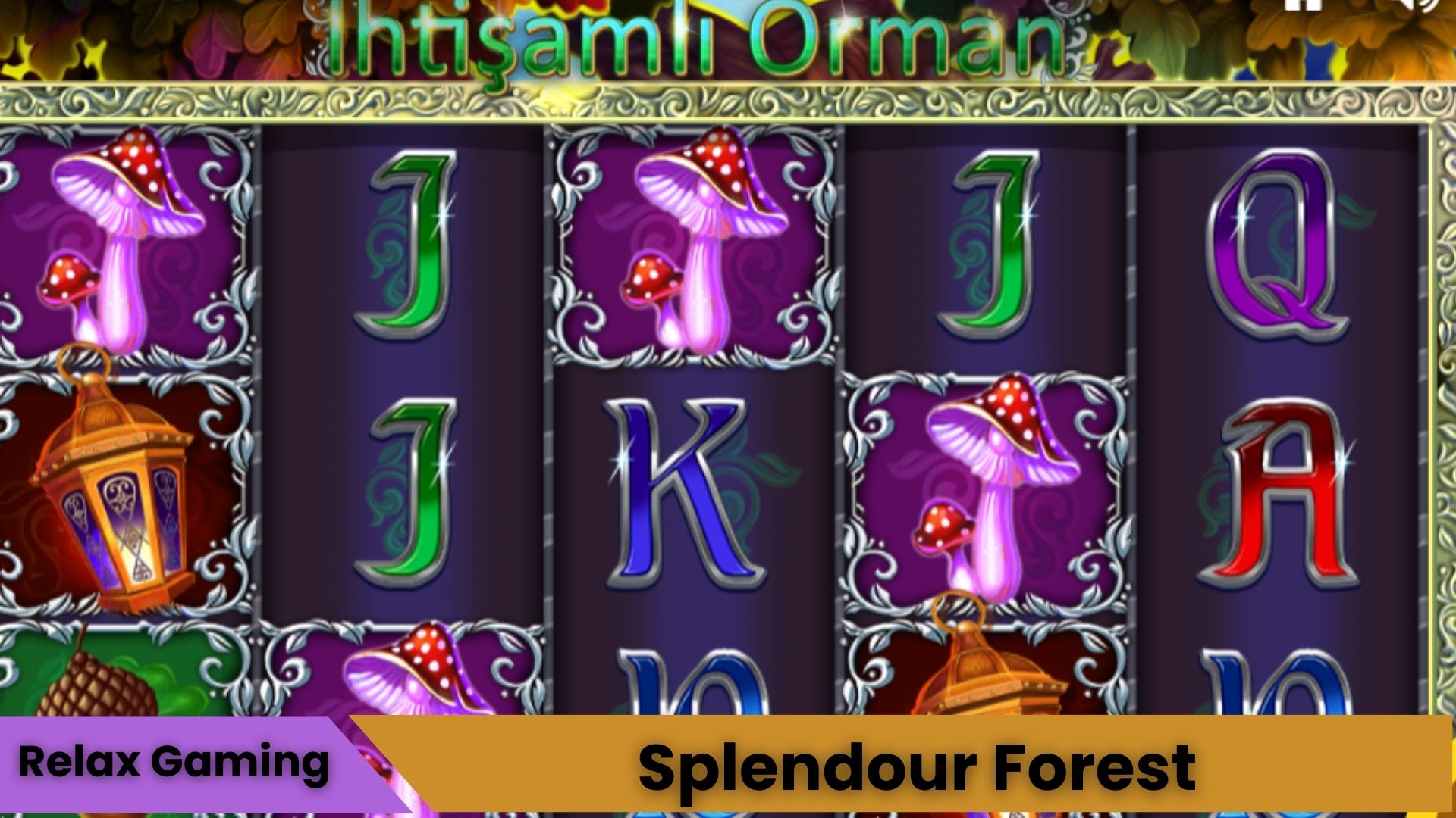 Splendour Forest Oyna